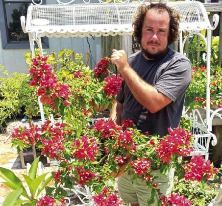 Ryan Ricouard owner of Country Roots Garden center holding a beautiful hanging basket of Bougainvillea. One of the many unique plants available and part of a good selection for the St. Bernard region.